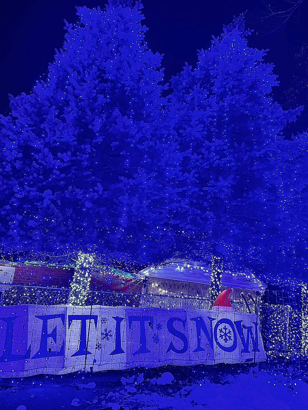 Blue-lit snowy trees beside a Let It Snow display at Christmas on the Mountain